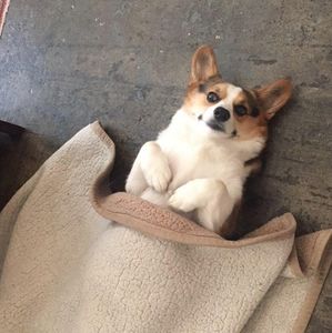 Meet your Posher, Jonny